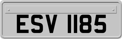 ESV1185