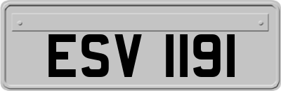 ESV1191
