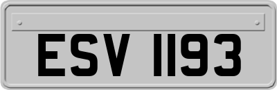 ESV1193