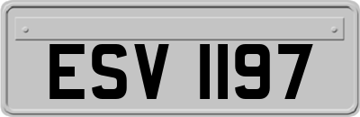 ESV1197
