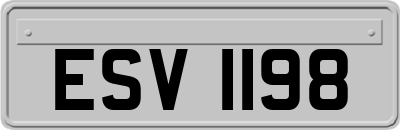 ESV1198