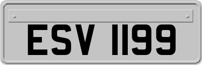 ESV1199