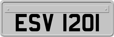 ESV1201