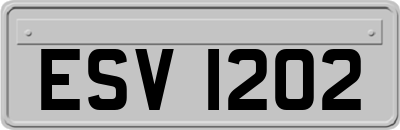 ESV1202