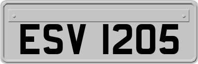 ESV1205