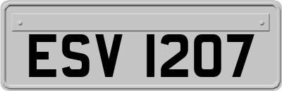 ESV1207