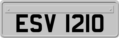 ESV1210
