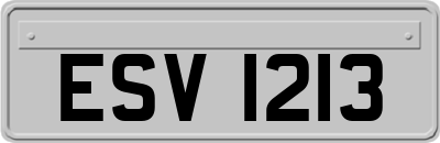 ESV1213