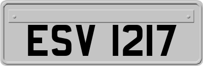 ESV1217
