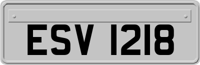 ESV1218