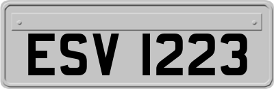 ESV1223