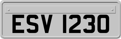 ESV1230
