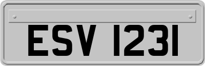 ESV1231