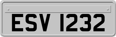 ESV1232