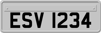 ESV1234