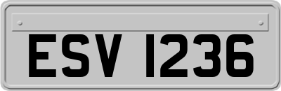 ESV1236