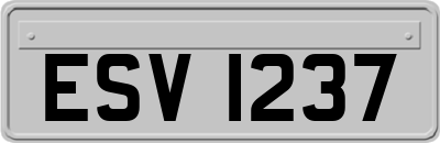 ESV1237