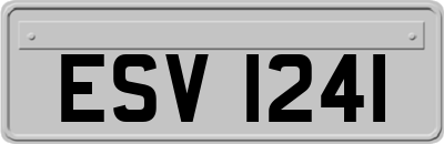ESV1241