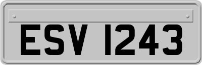 ESV1243