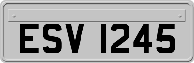 ESV1245