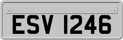 ESV1246