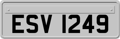 ESV1249