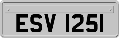 ESV1251