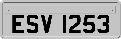 ESV1253