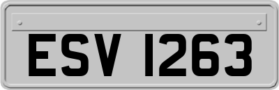 ESV1263