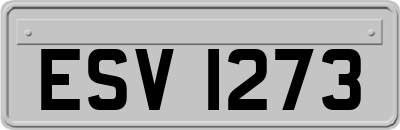 ESV1273