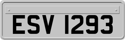 ESV1293