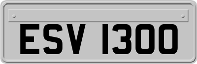 ESV1300