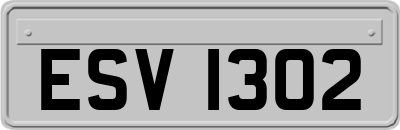 ESV1302