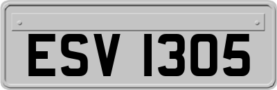 ESV1305