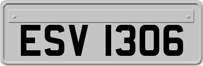 ESV1306