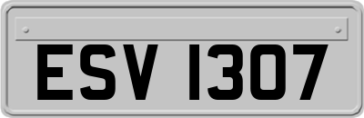 ESV1307