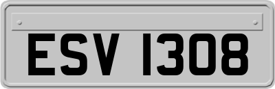 ESV1308