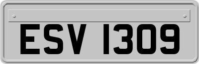 ESV1309