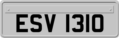 ESV1310