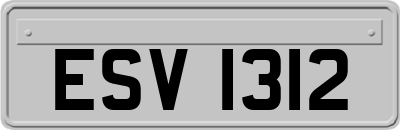 ESV1312