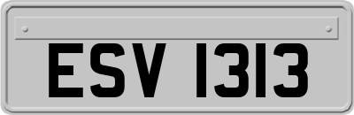 ESV1313