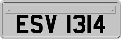 ESV1314