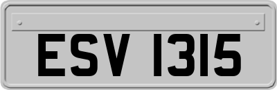 ESV1315