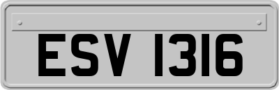 ESV1316