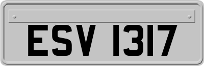 ESV1317