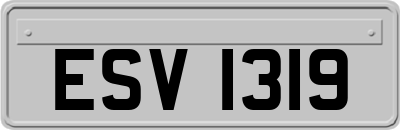ESV1319