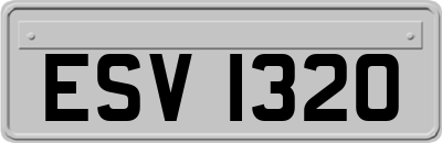ESV1320
