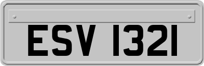 ESV1321