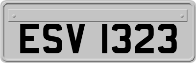 ESV1323