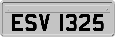ESV1325